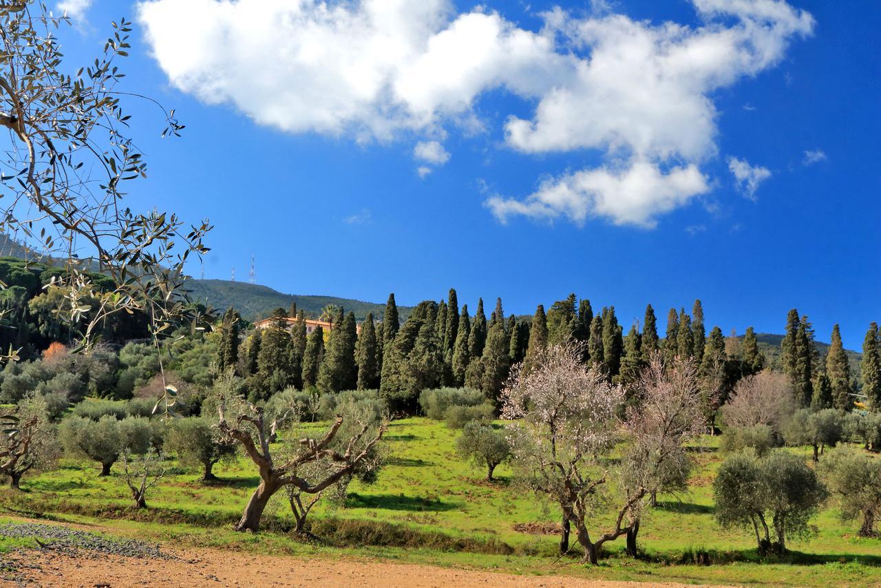 Agriturismo Pimpinnacolo ปอร์โต เอร์โกเล ภายนอก รูปภาพ