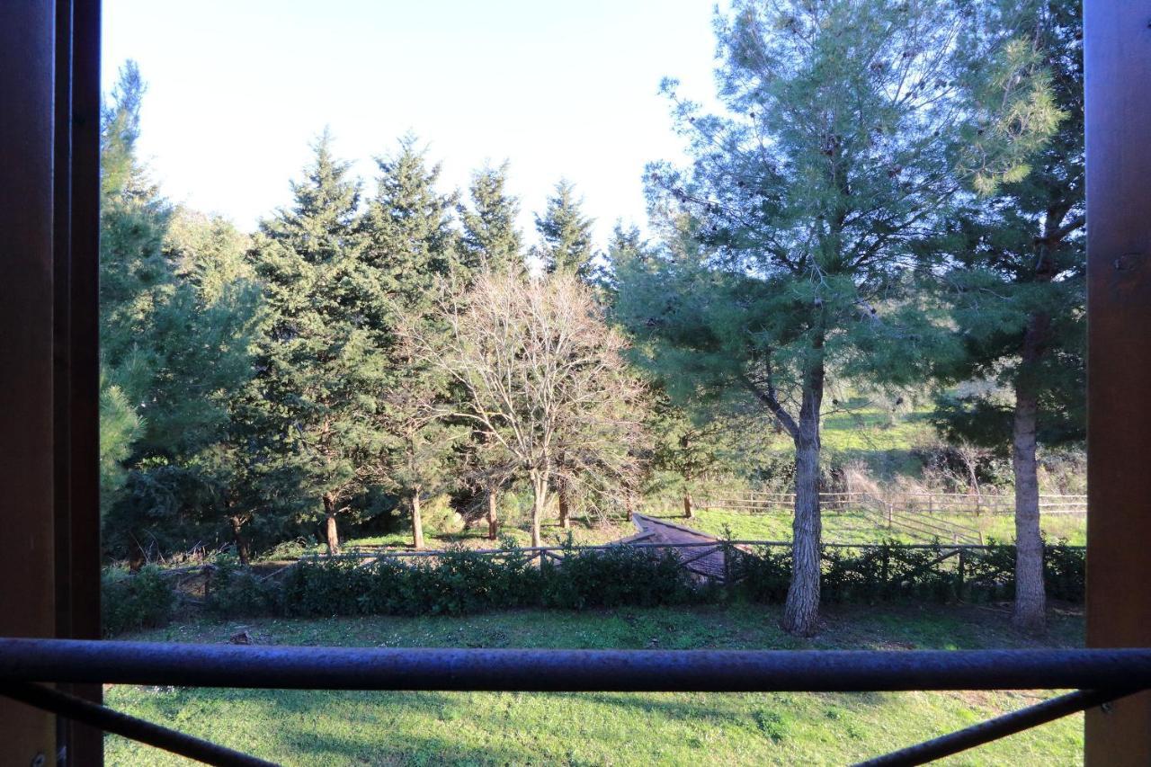 Agriturismo Pimpinnacolo ปอร์โต เอร์โกเล ภายนอก รูปภาพ